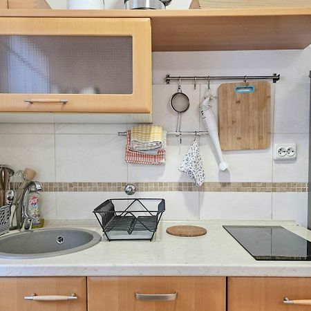 Apartments Maria Novigrad Istria エクステリア 写真