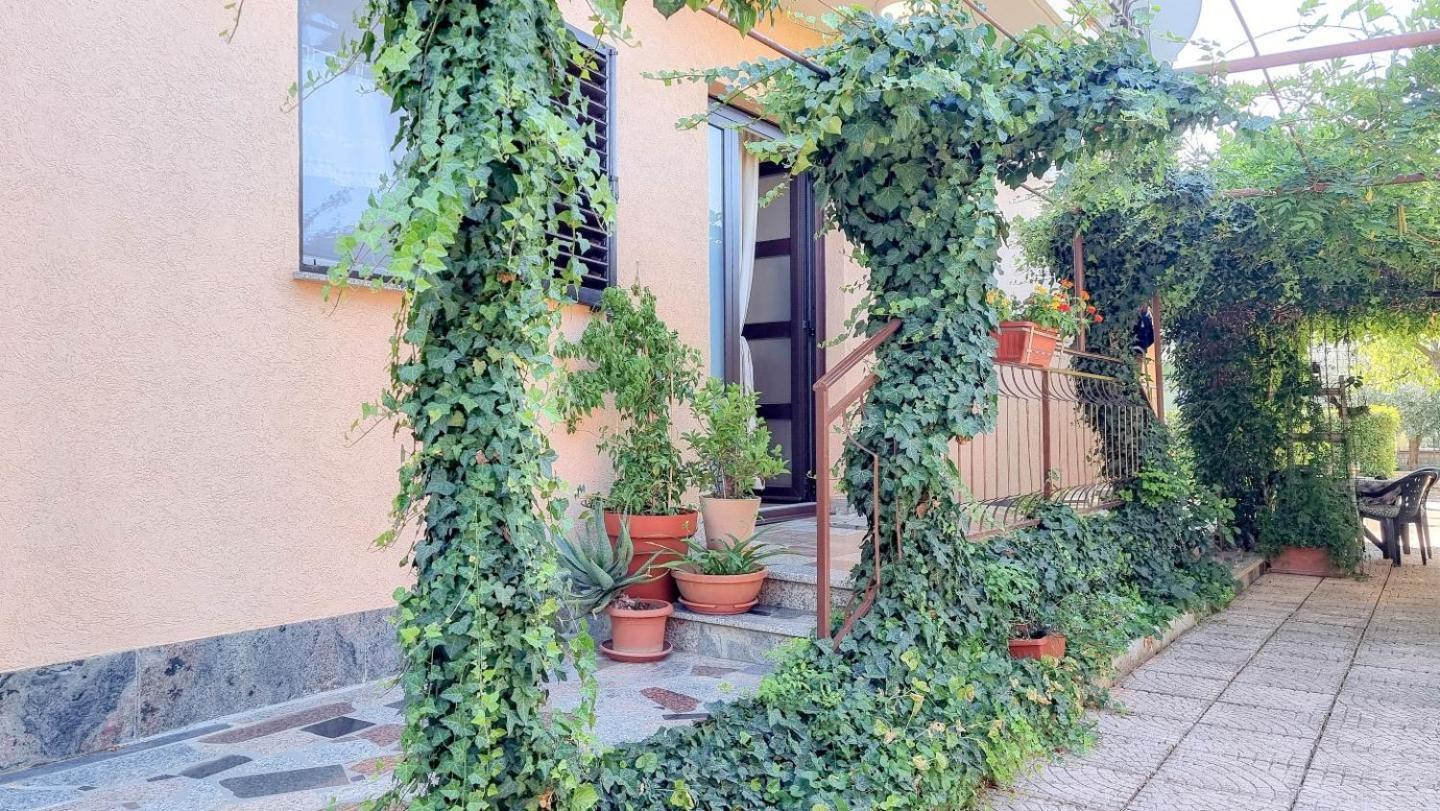 Apartments Maria Novigrad Istria エクステリア 写真